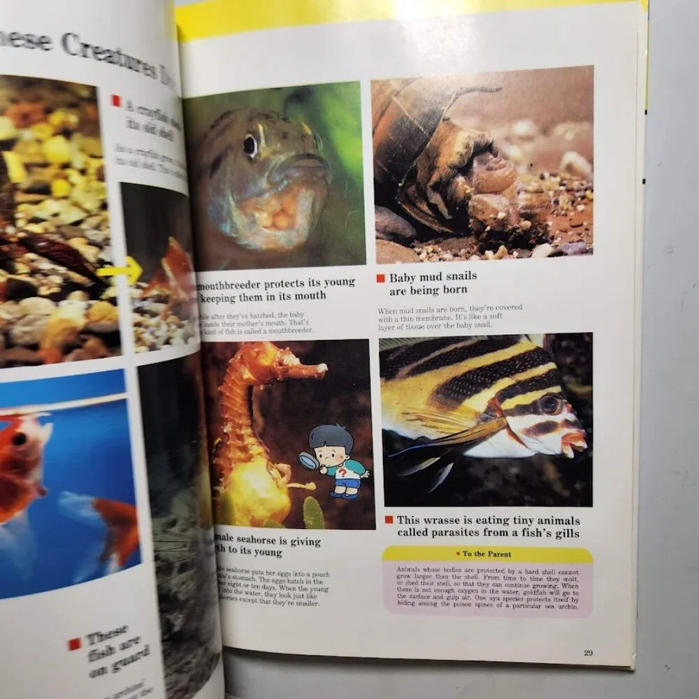 Life in the Water Child's First Library of Learning Science Stem Book Homeschool